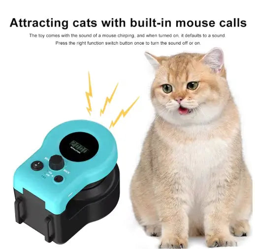 Cat Weight Loss Toy